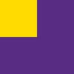 Purple/Sun Yellow